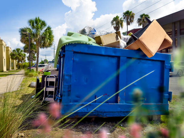 Yard Cleanup Services in Panther Valley, NJ
